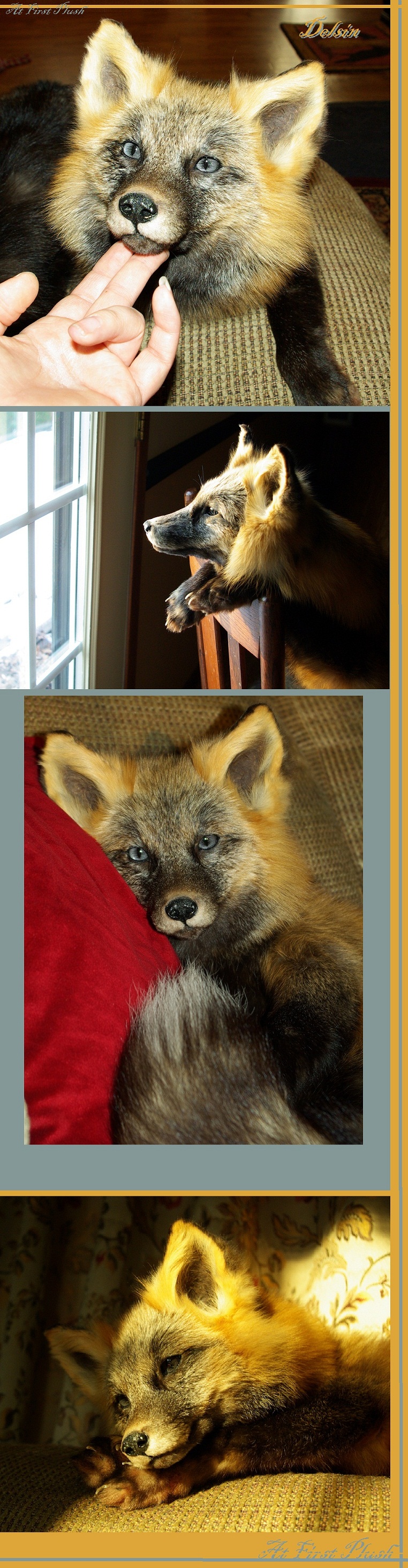 Delsin  commissioned cross fox