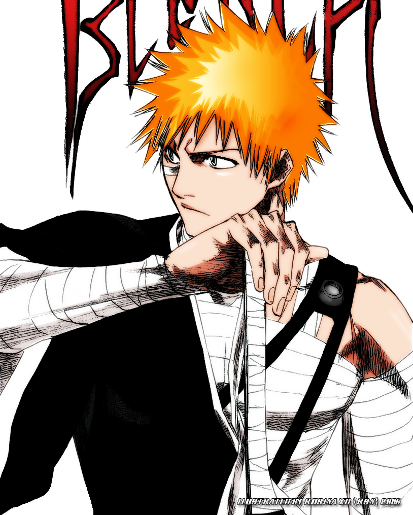  ICHIGO --- BlEaCh