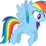Rainbow Dash - What's that for?