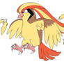 Pidgeot used Feather Dance