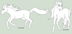 Horse Line Art