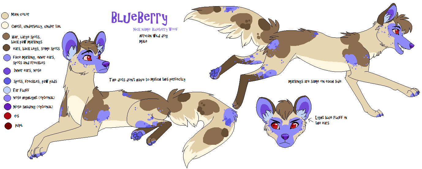 BlueBerry Woof Reference