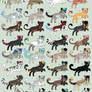 36 Adoptables