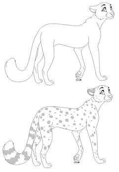 Cheetah Lines 2025 FTU