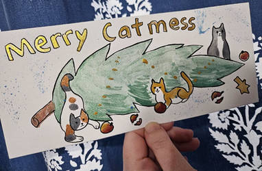 CmasCard 2025