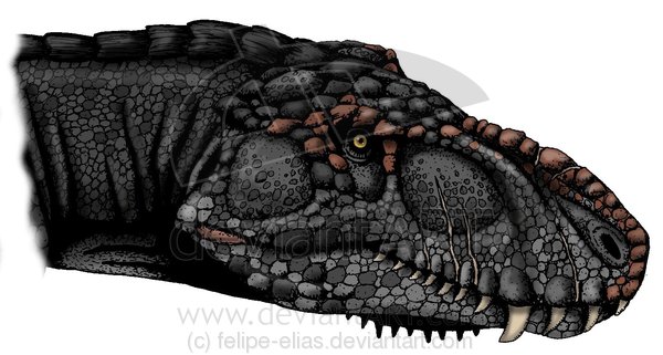 Karamuru vorax head