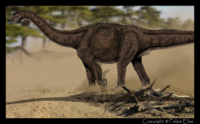 Adamantisaurus mezzalirai