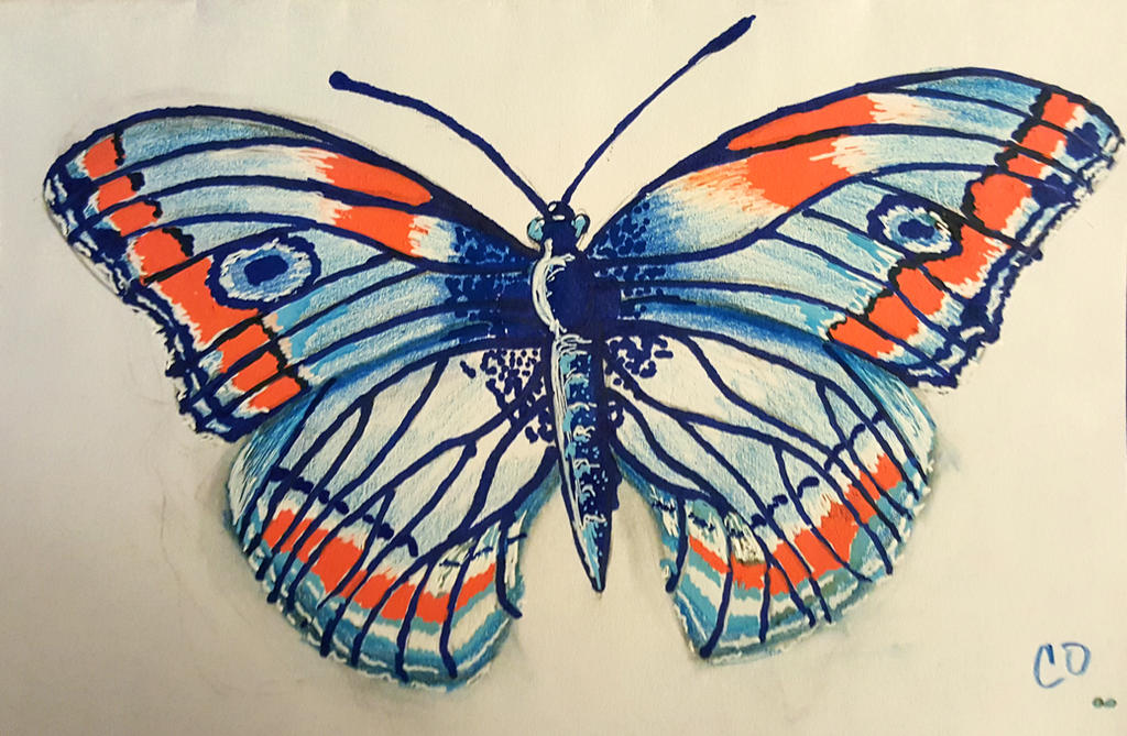 Butterfly