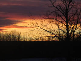 Sunset and a Tree