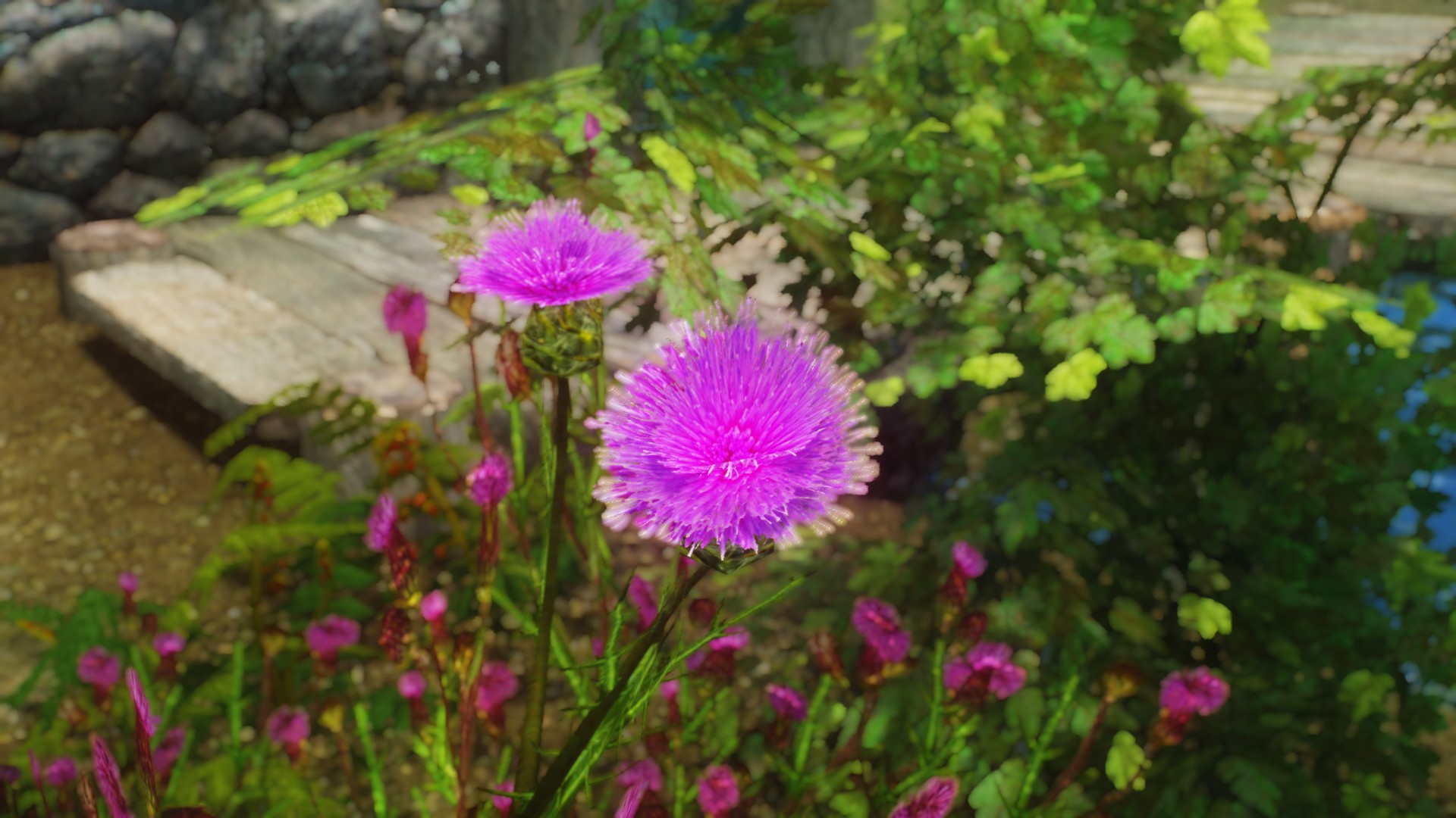 Flowers