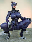 Catwoman/Regime 3DCosplay 2