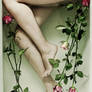 bath of roses