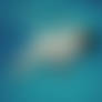 la vague
