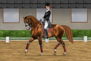 HRS Summer Opening Show - Kalinka / Dressage