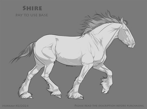 Shire |P2U BASE|