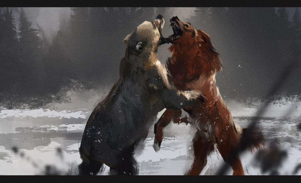 BEAR FIGHT by diademata