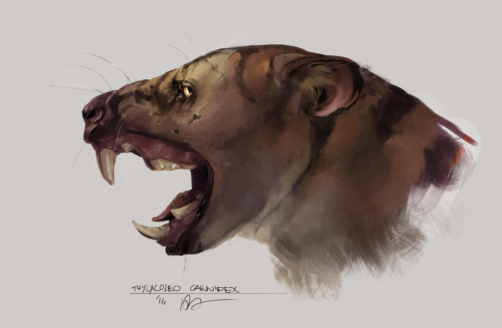 thylacoleo_carnifex_by_sixfoot_ant_d9vv6