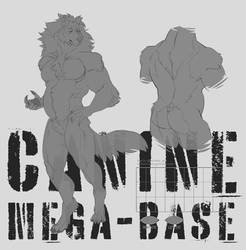 Canine Mega-base