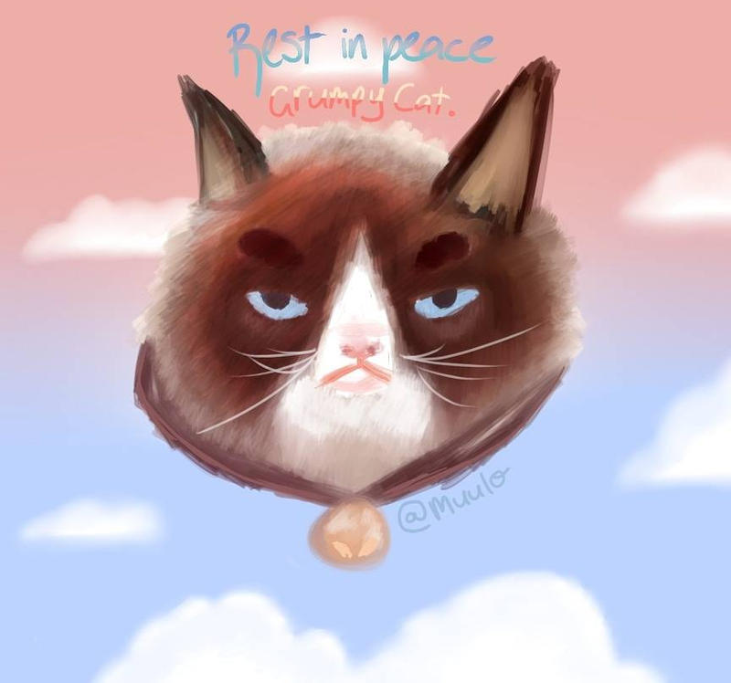 RIP Grumpy Cat by Muulo on DeviantArt