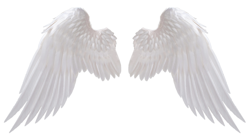 Angel Wings by HZ-Designs on DeviantArt
