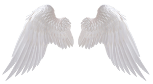 Angel Wings