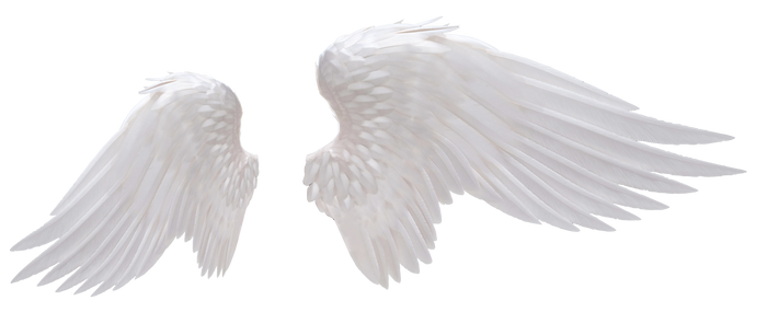 Angel Wings 02