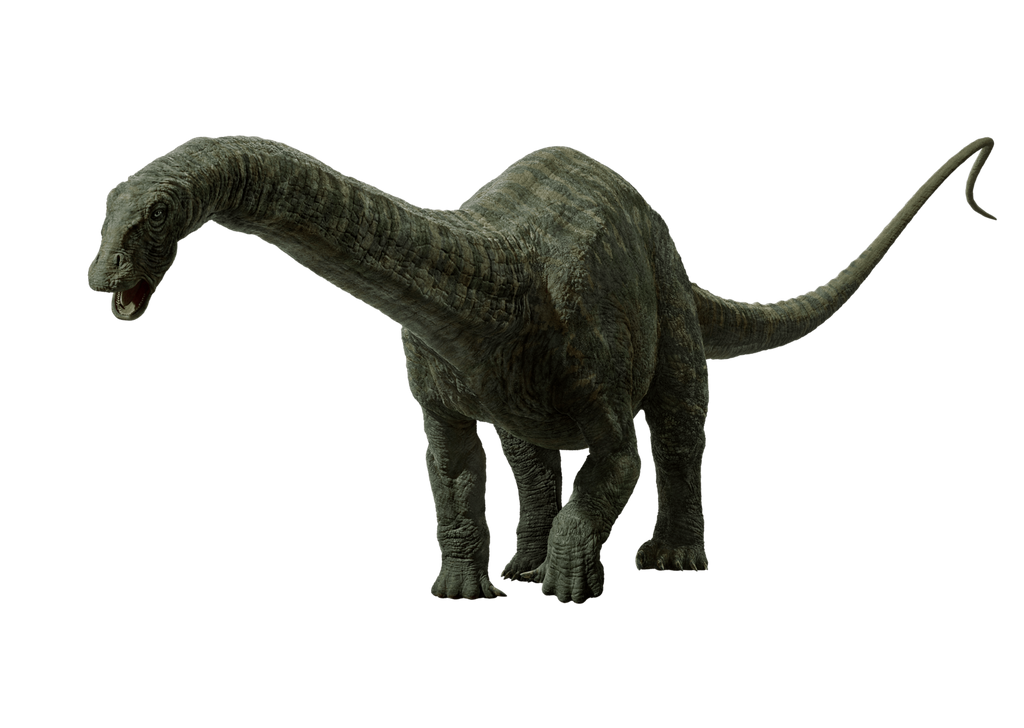 Apatosaurus by HZ-Designs on DeviantArt