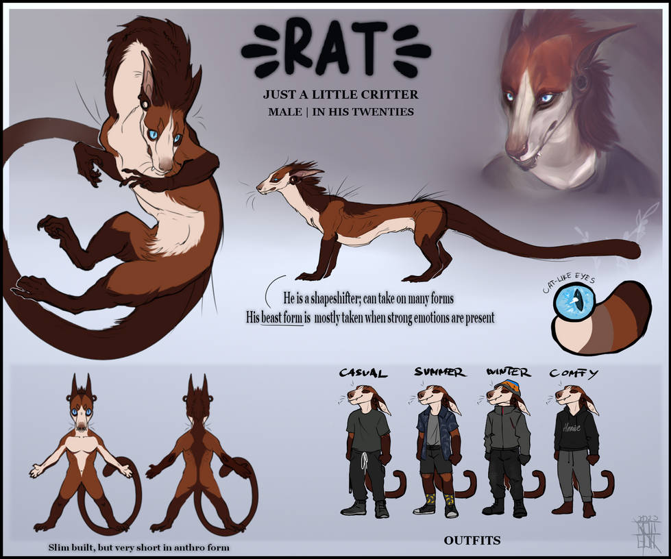 Rat Reference 2023 by rattenet on DeviantArt