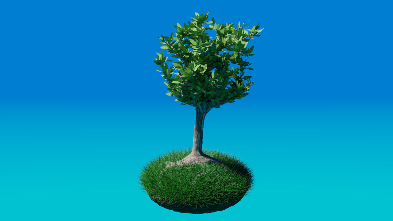 Realistic Ttree Realistic Tree Model by FamiliarPerson on DeviantArt