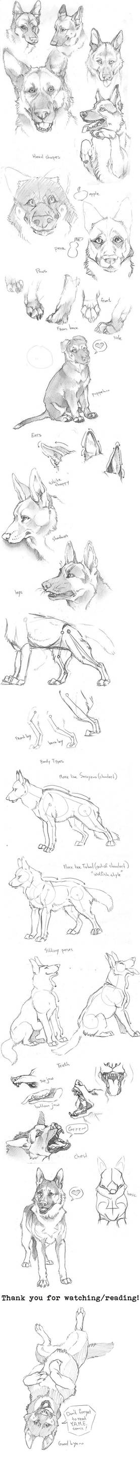 GSD tutorial and sketches