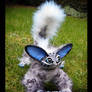 --SOLD--'Quinto' The snow-leopard fennec fox doll