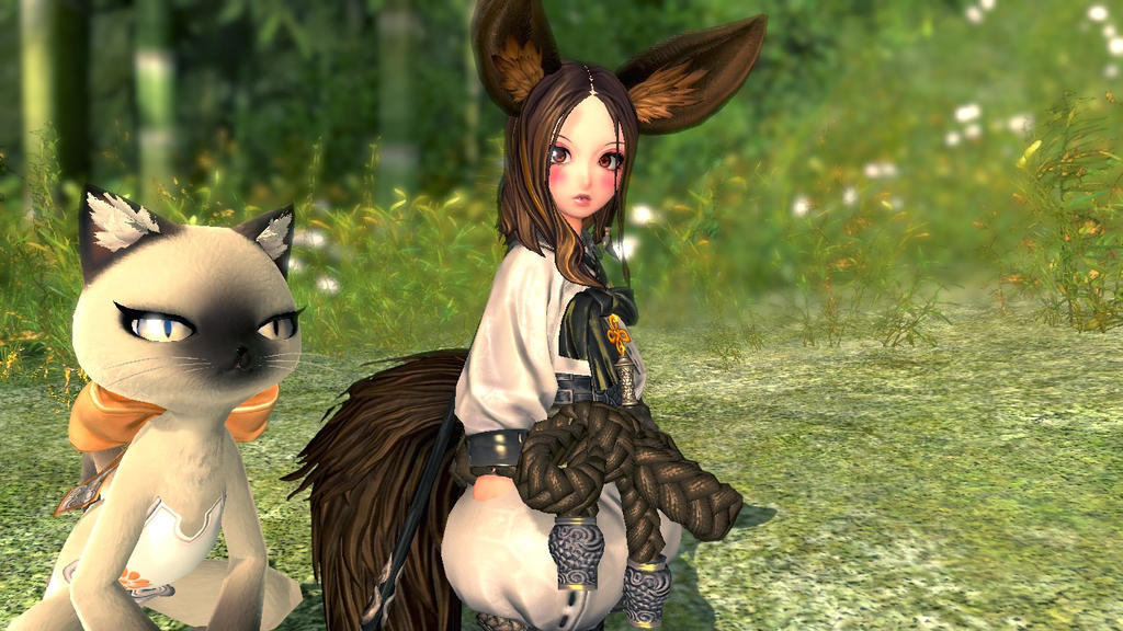 Blade and Soul Lyn by 777luck777 on DeviantArt