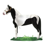 12 Diamante Manchado I ArtTrade LULUVIP by Trz-125