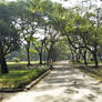 Greenery at Ramna Park