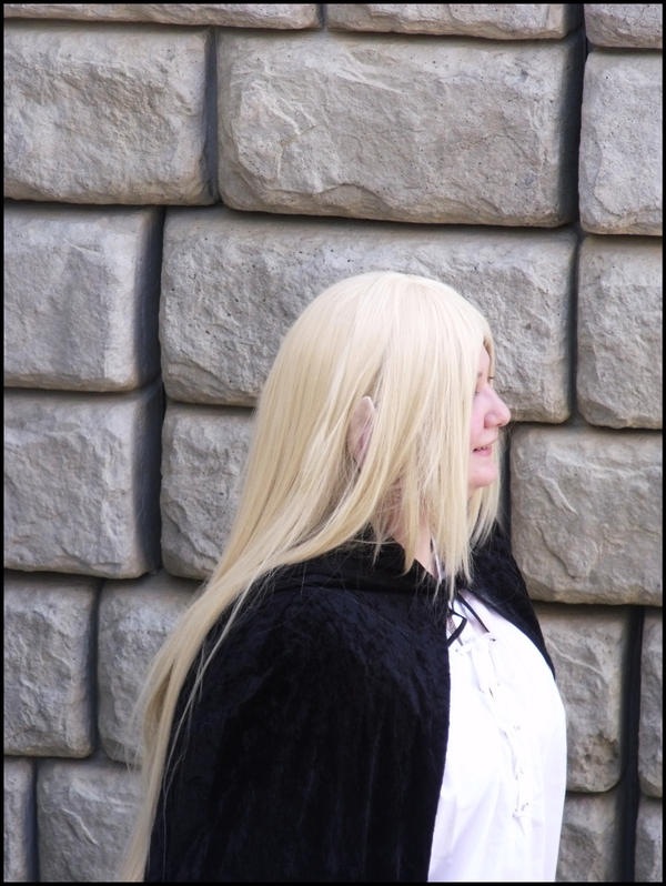 Elven Accuracy by ayanehewley on DeviantArt