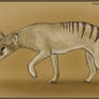 Coffee Thylacine