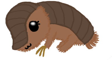 Pink Fairy Armadillo