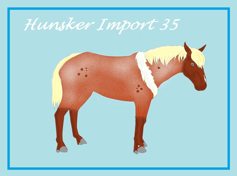 Hunsker Import #35 | Free to Claim | OPEN