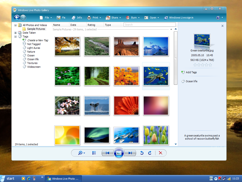 Windows Live Photo Gallery