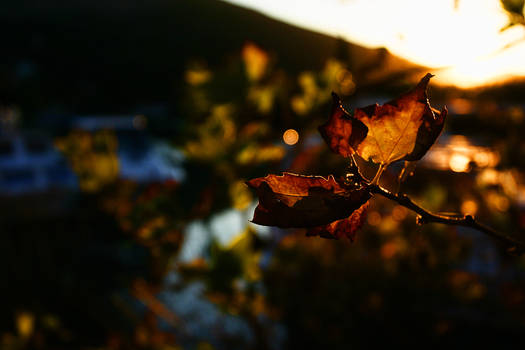 The first day of Fall.