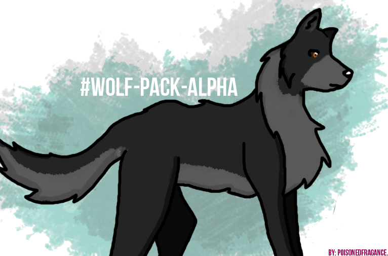 Wolf-Pack-Alpha | DeviantArt