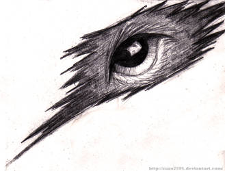 Eye