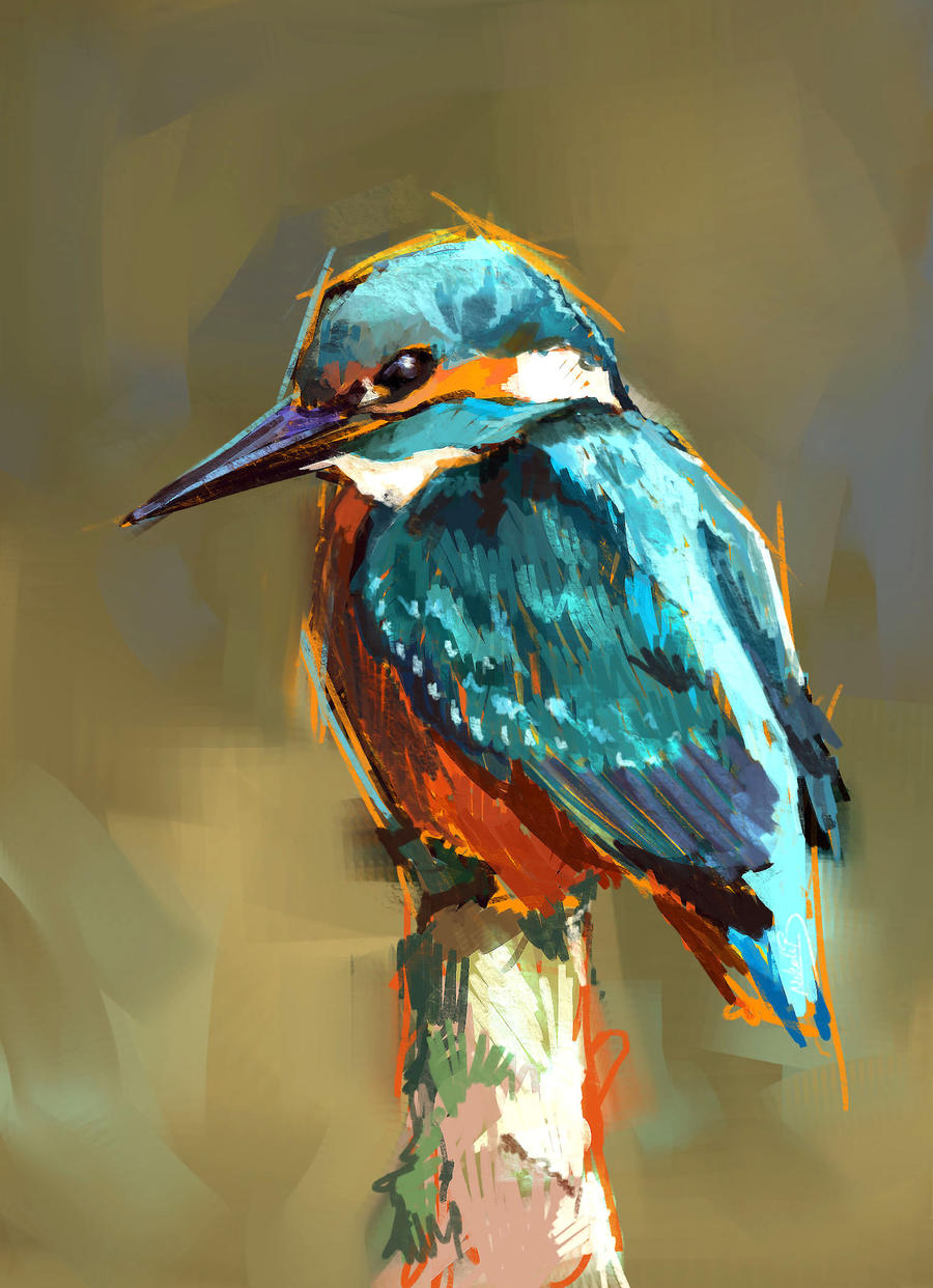 Kingfisher 2