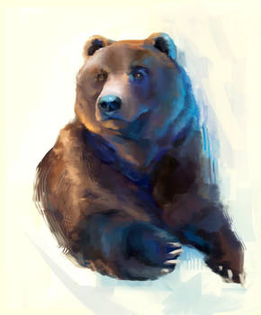 Bear