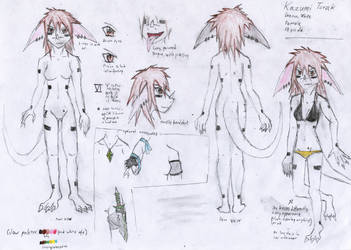 Crude Reference Sheet - Kazumi