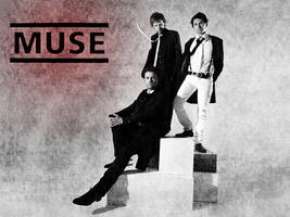 Muse WP