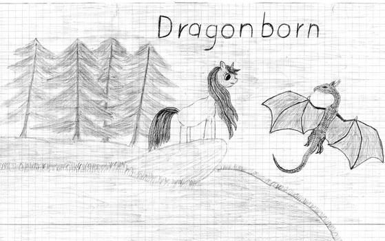 My little Pony - Dragonborn