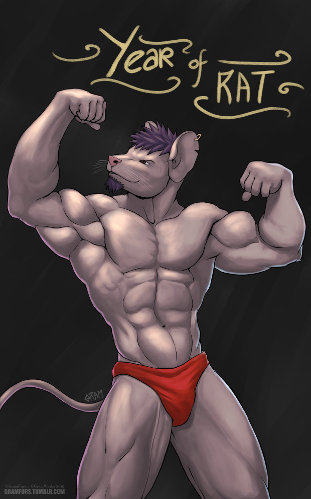 Gym Rat by DadaTheHuge on DeviantArt