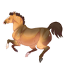 Buckskin Horse 