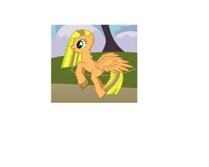 Me as a pony